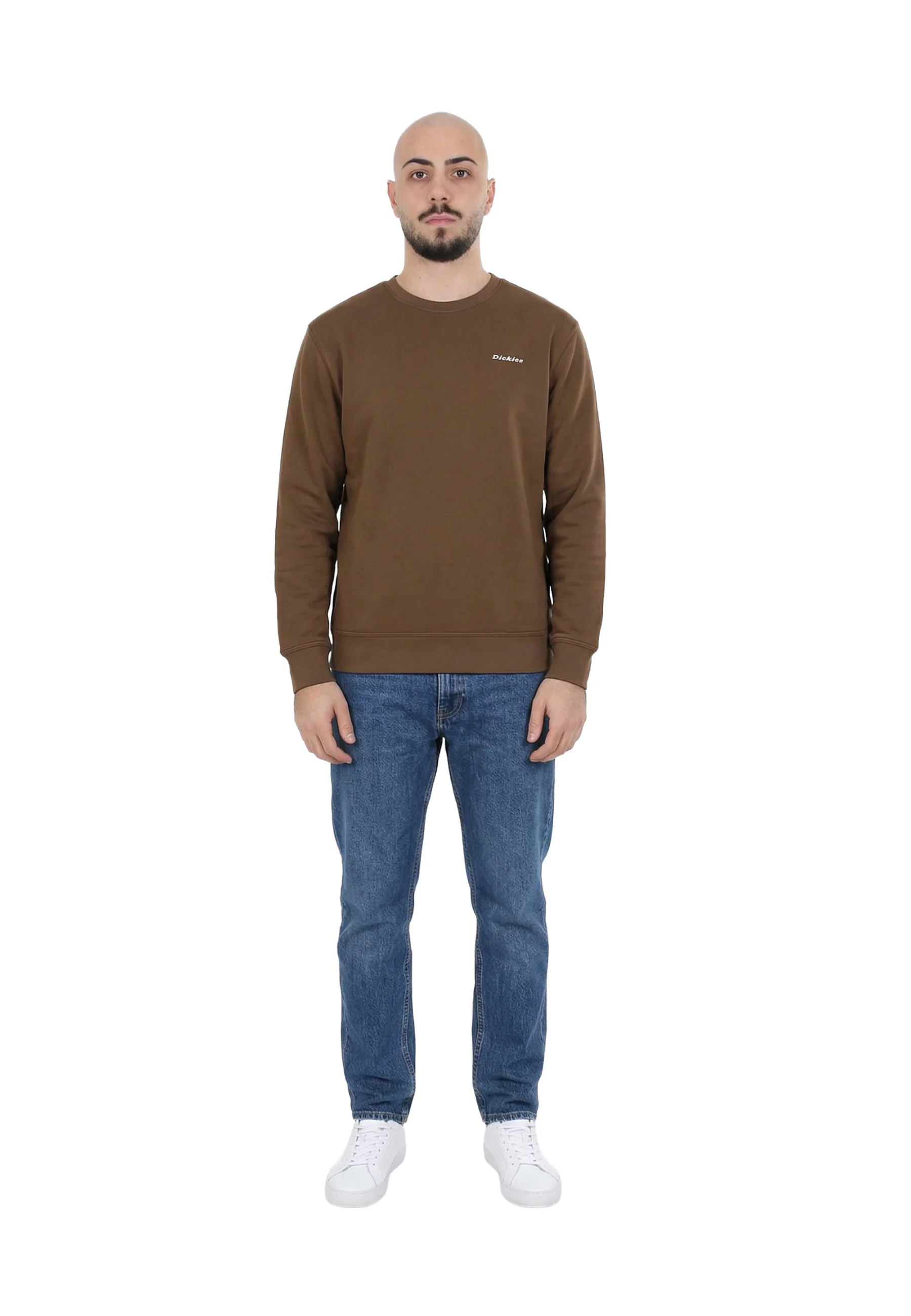 Dickies Loretto Swatshirt Felpe Uomo | DK0A88OC - Image 2