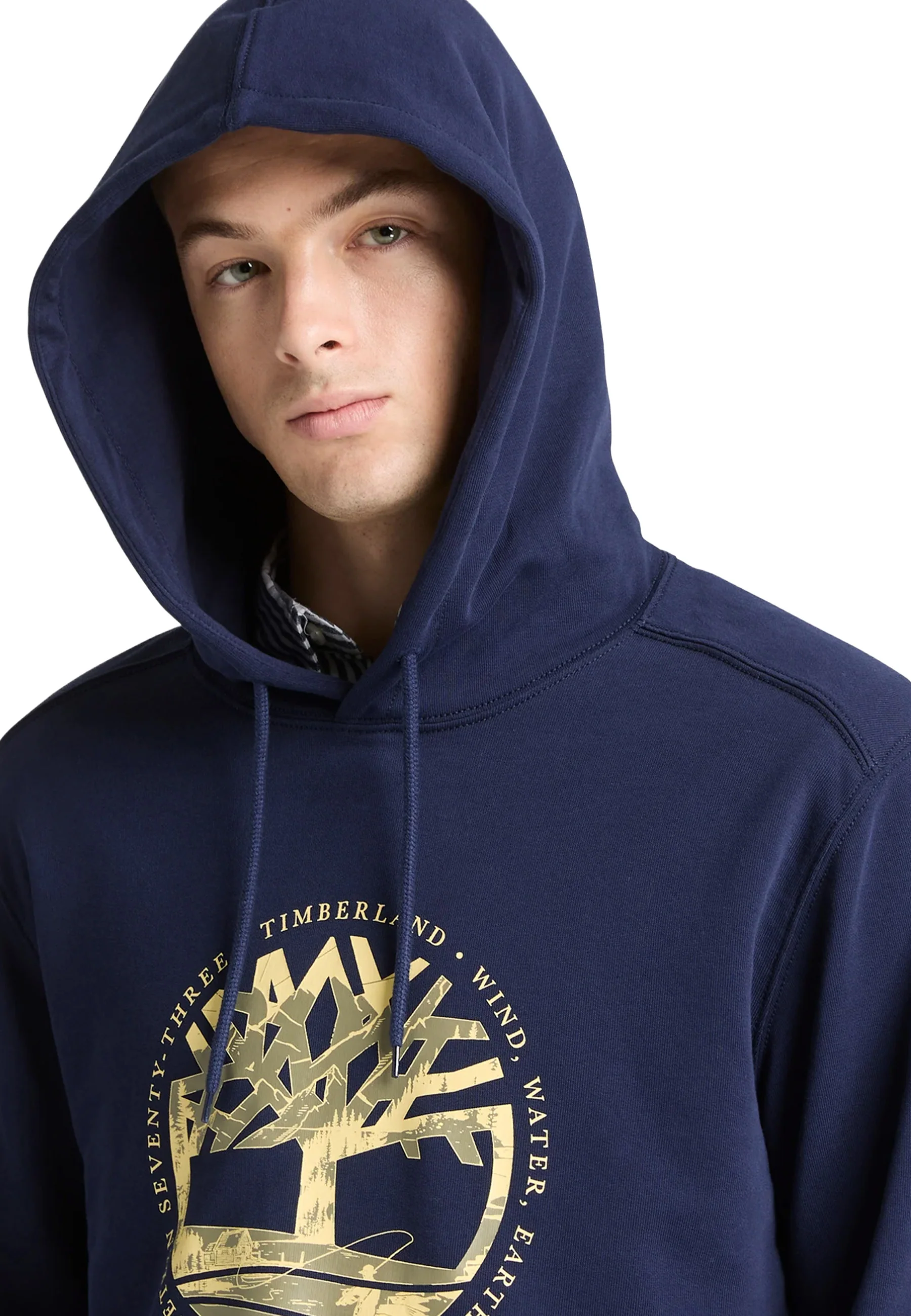 Timberland Tree Logo Lake Felpe Uomo | TB0A6KBQ - Image 8