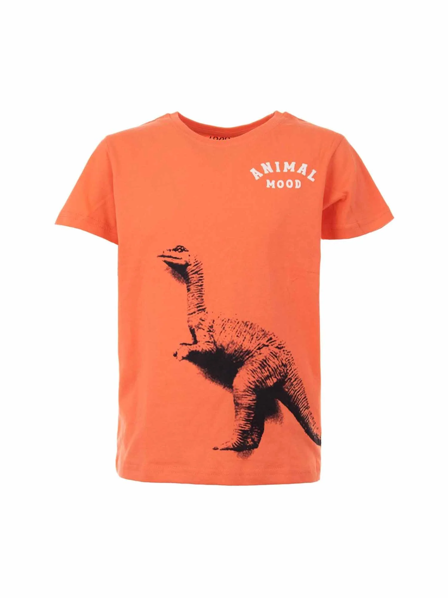 Losan T-shirt Bambini | 51002085037