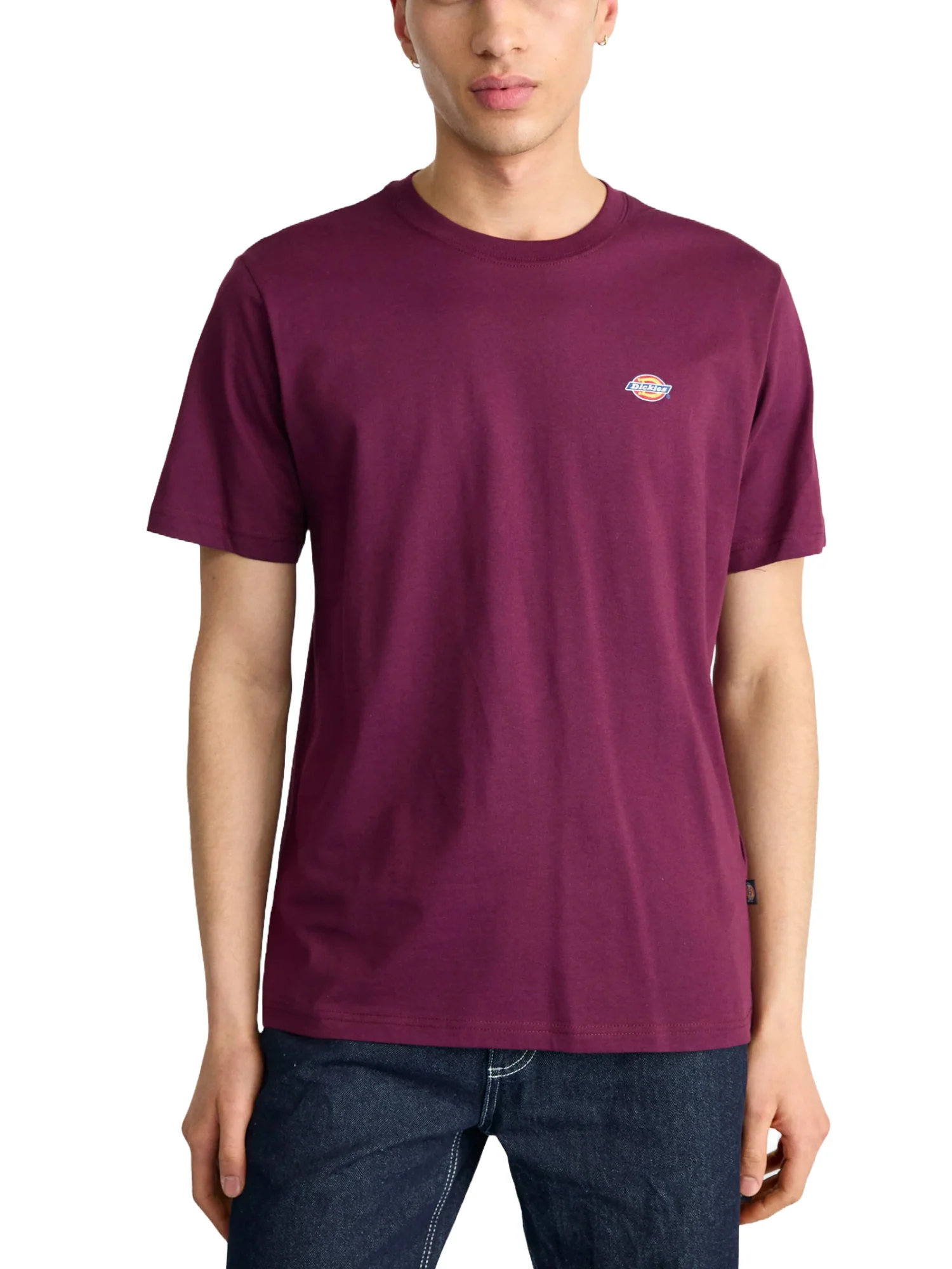 Dickies T-shirt Uomo | DK0A4XDB - Image 2