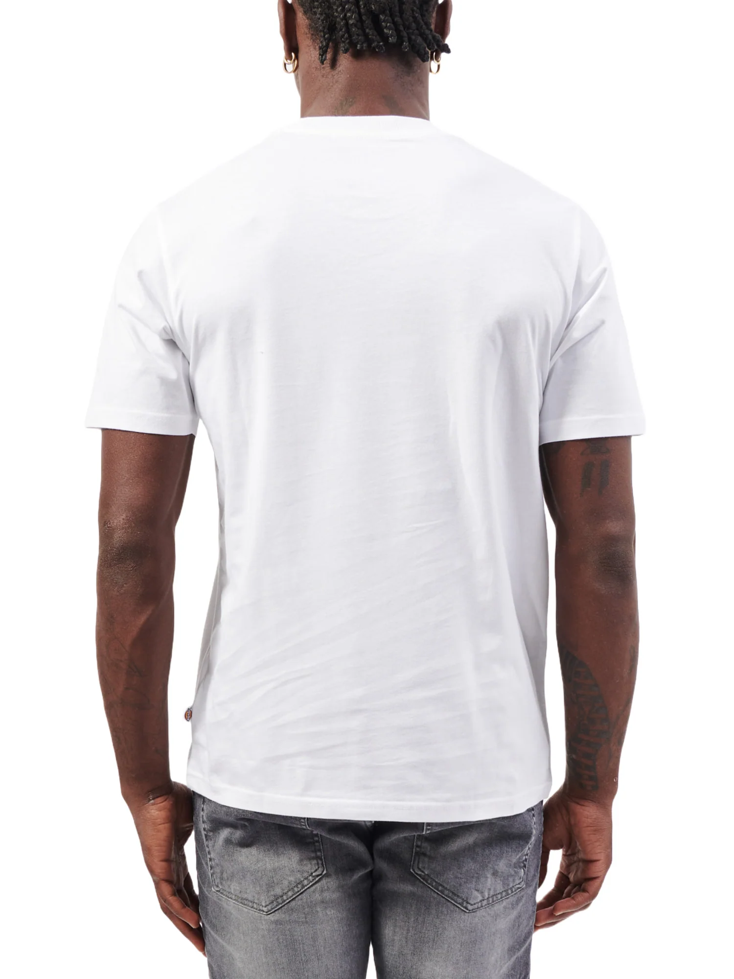 Dickies T-shirt Uomo | DK0A4XDBWHX1 - Image 3