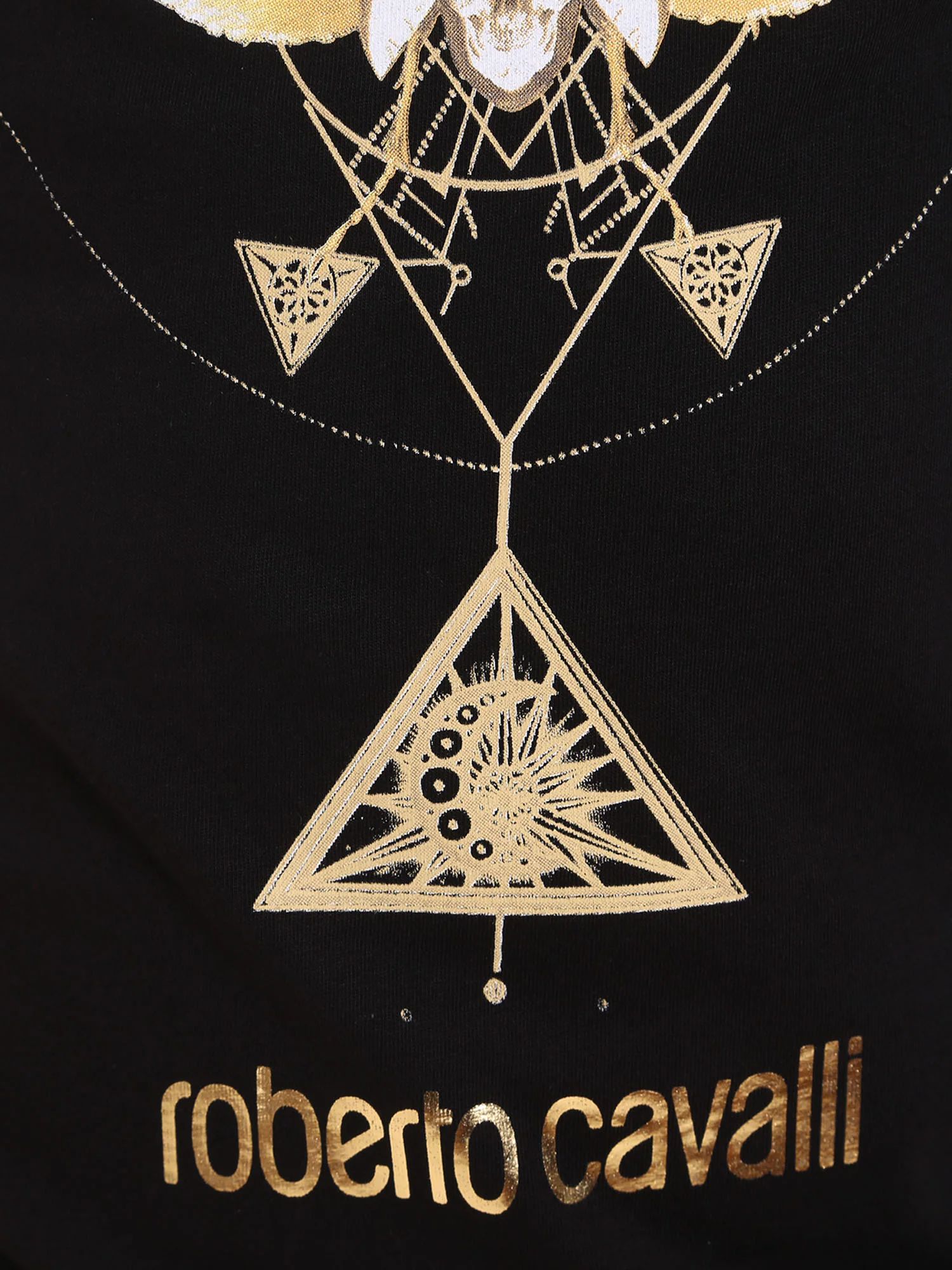 Roberto Cavalli T-shirt Uomo | HST65B - Image 6