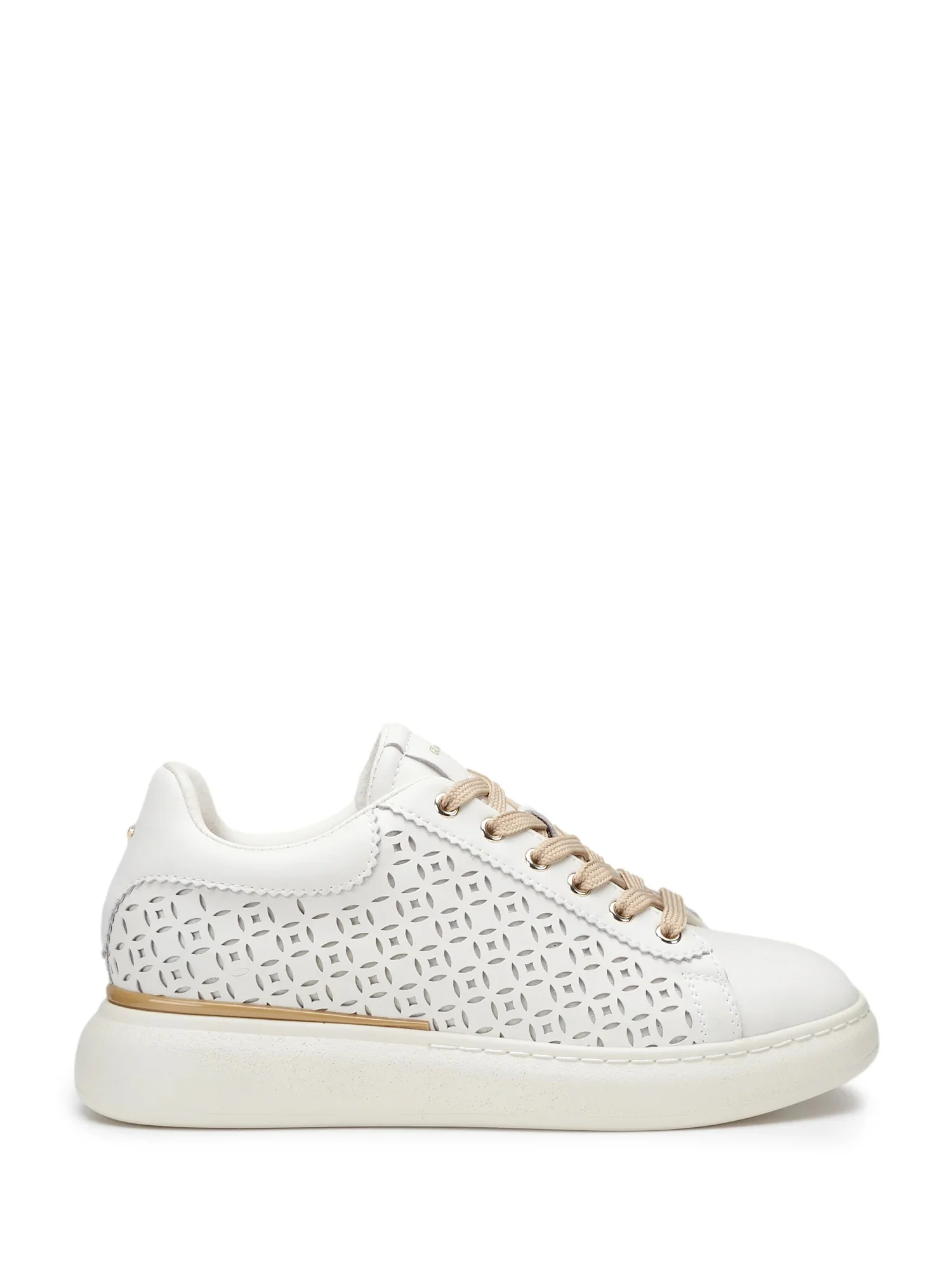 Alberto Guardiani Sneakers Donna | AGW438000
