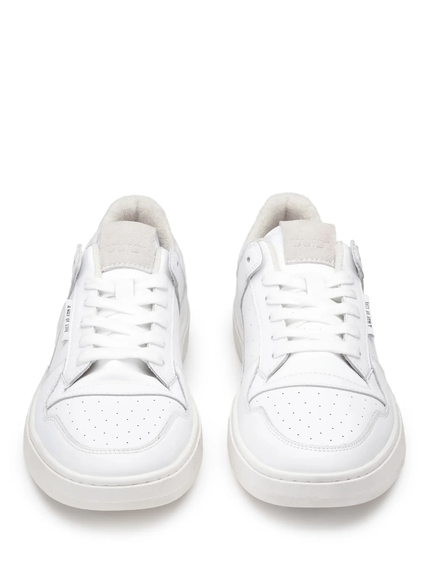 Cult Sneakers Uomo | CLM432500 - Image 4