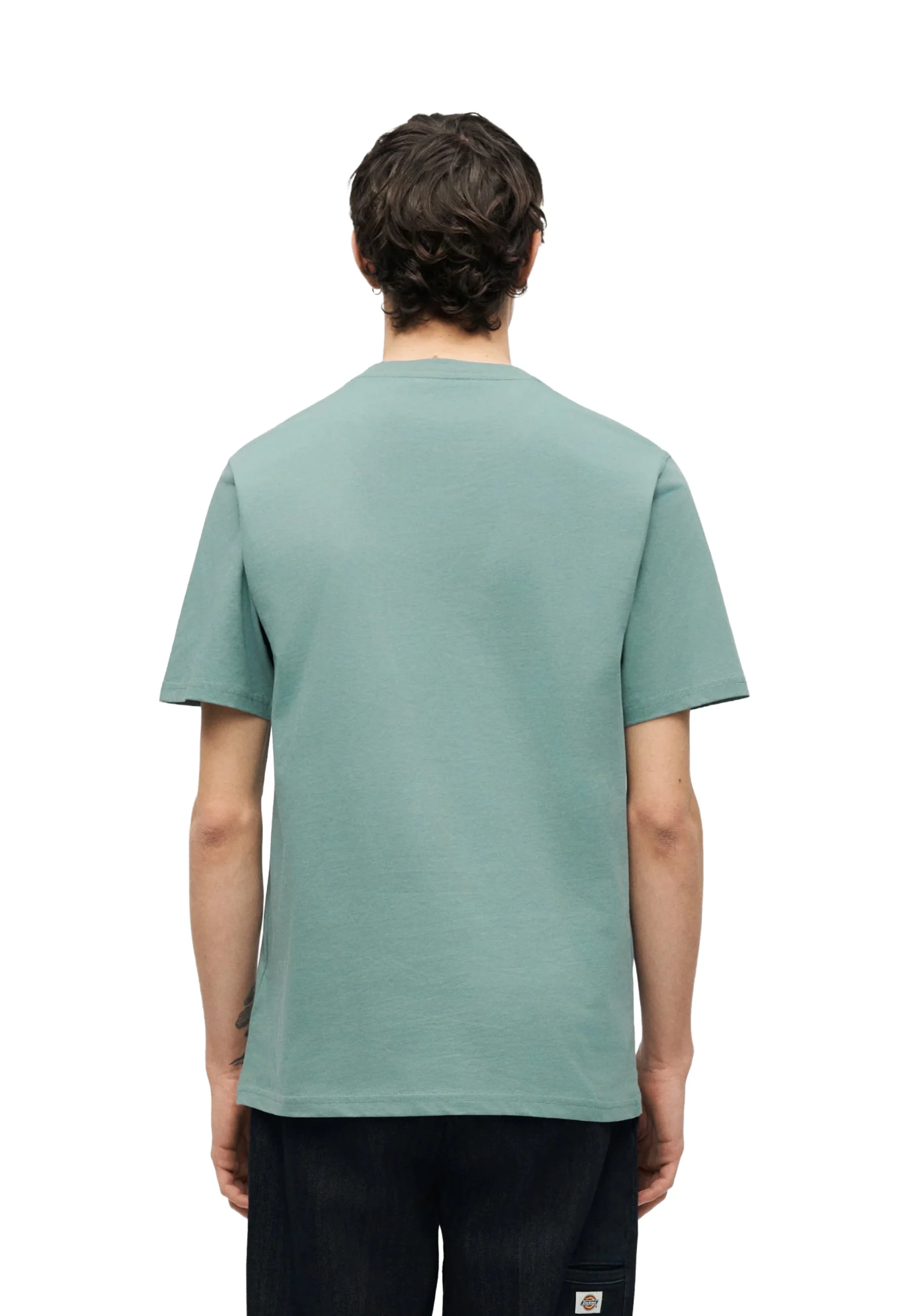 Dickies T-shirt Uomo | DK0A4XDB - Image 16