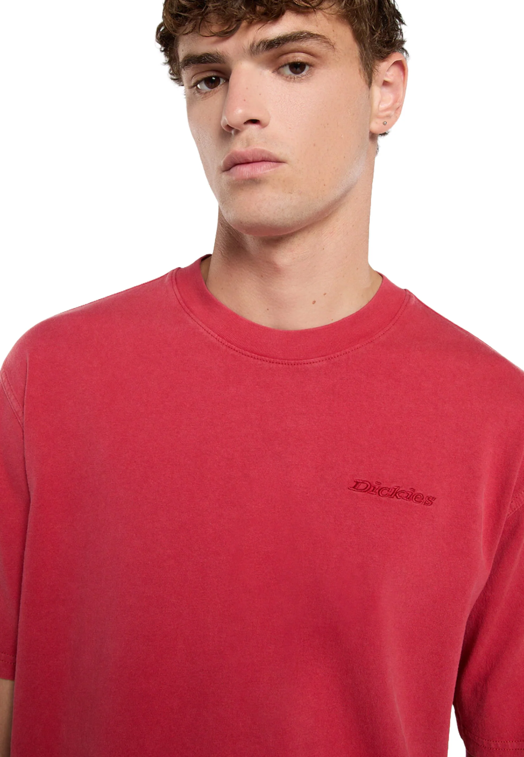 Dickies T-shirt Uomo | DK0A866B - Image 4